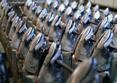 Makrele von Fischräucherei Lachenmeir in Penzing